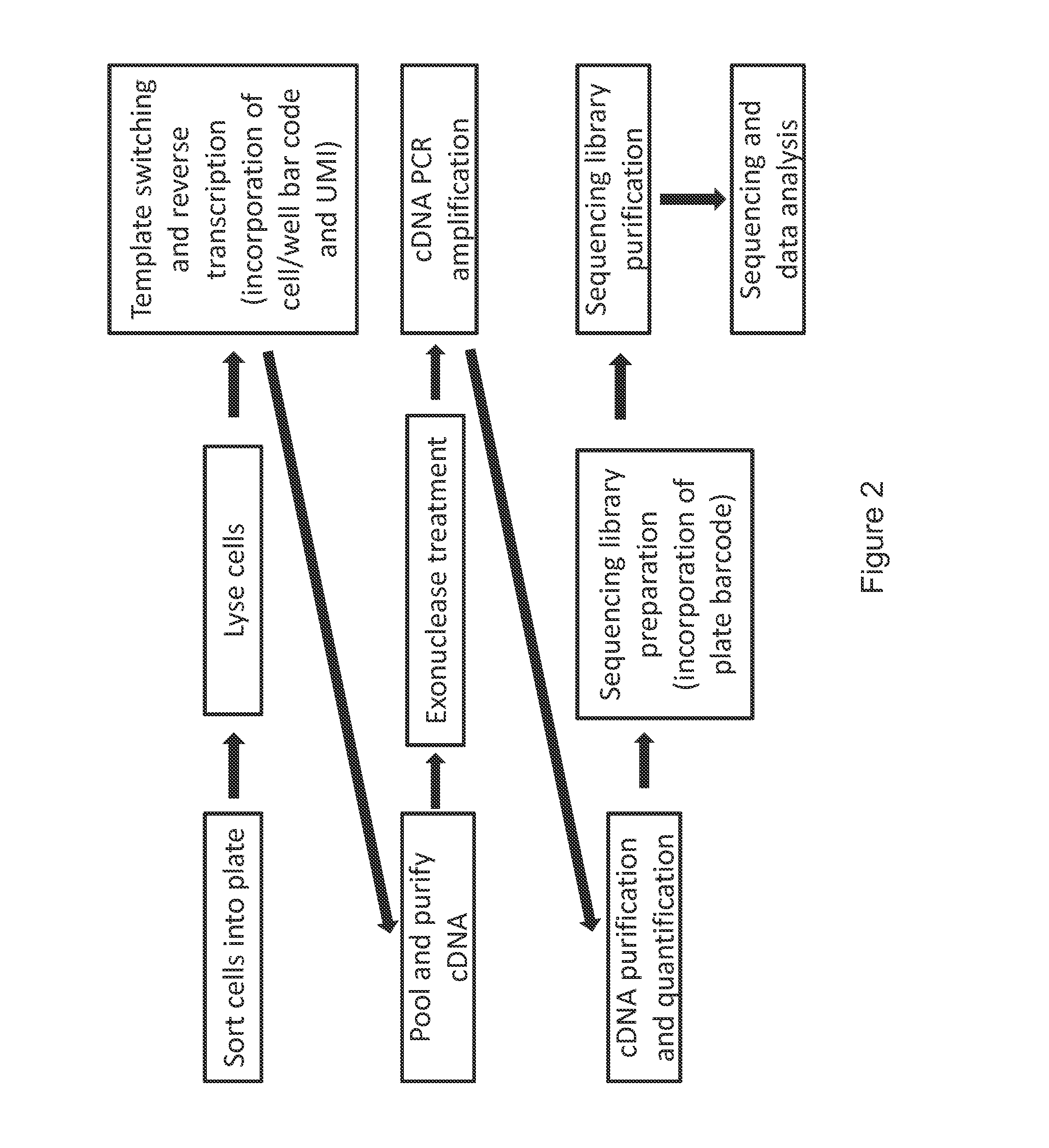 High-throughput rna-seq