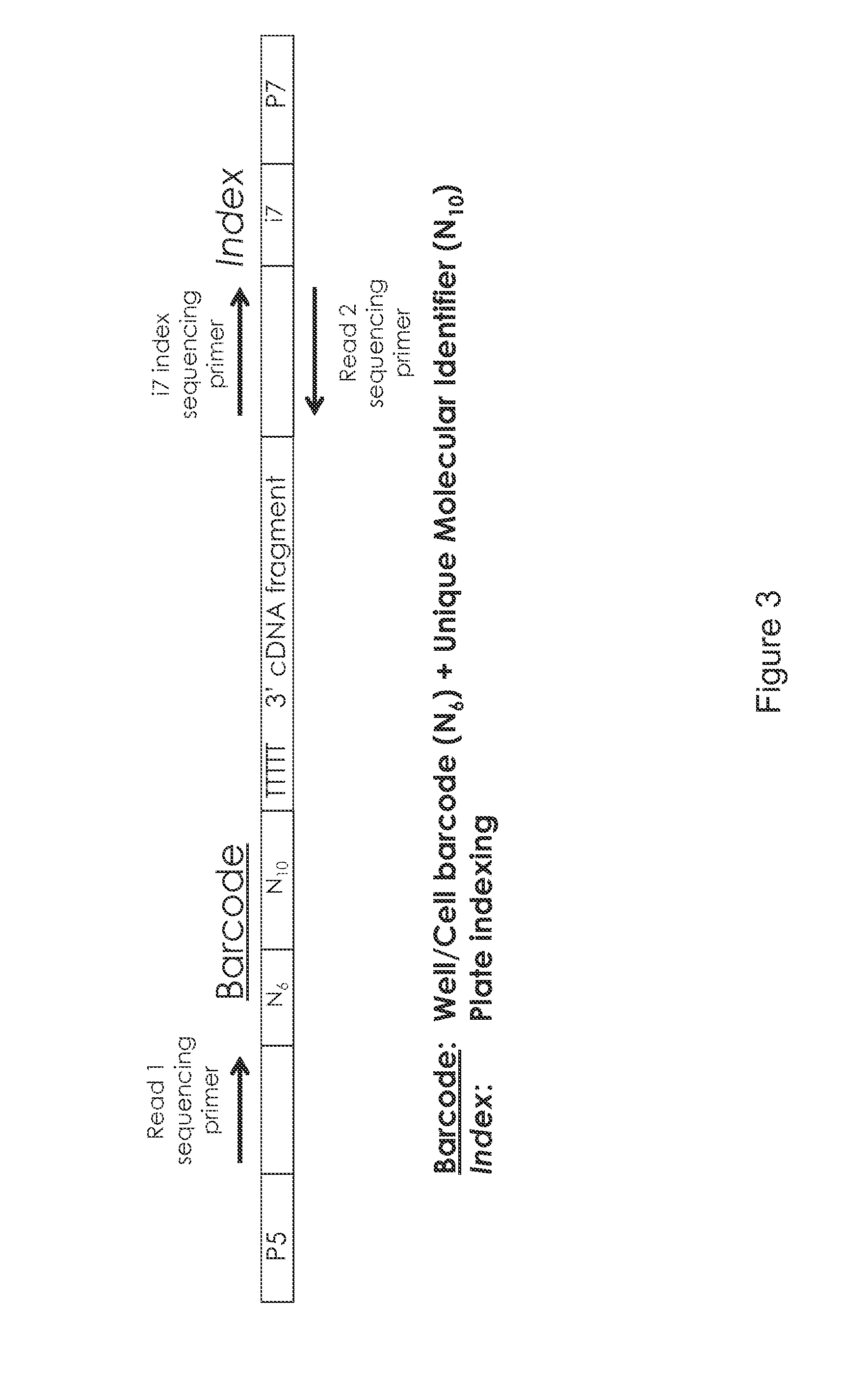 High-throughput rna-seq