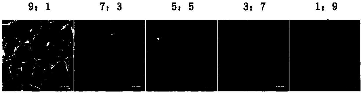 Tissue-engineered auricle-shape composite scaffold and preparation method thereof