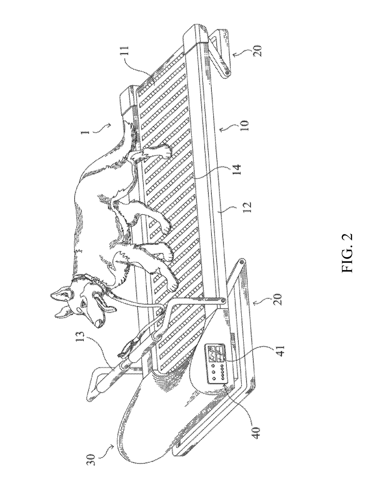 Structured exercise device and method thereof for training dogs