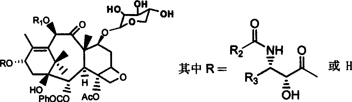 Fibrized cellulomonas cartae, hydrolase and application thereof in taxane conversion aspect