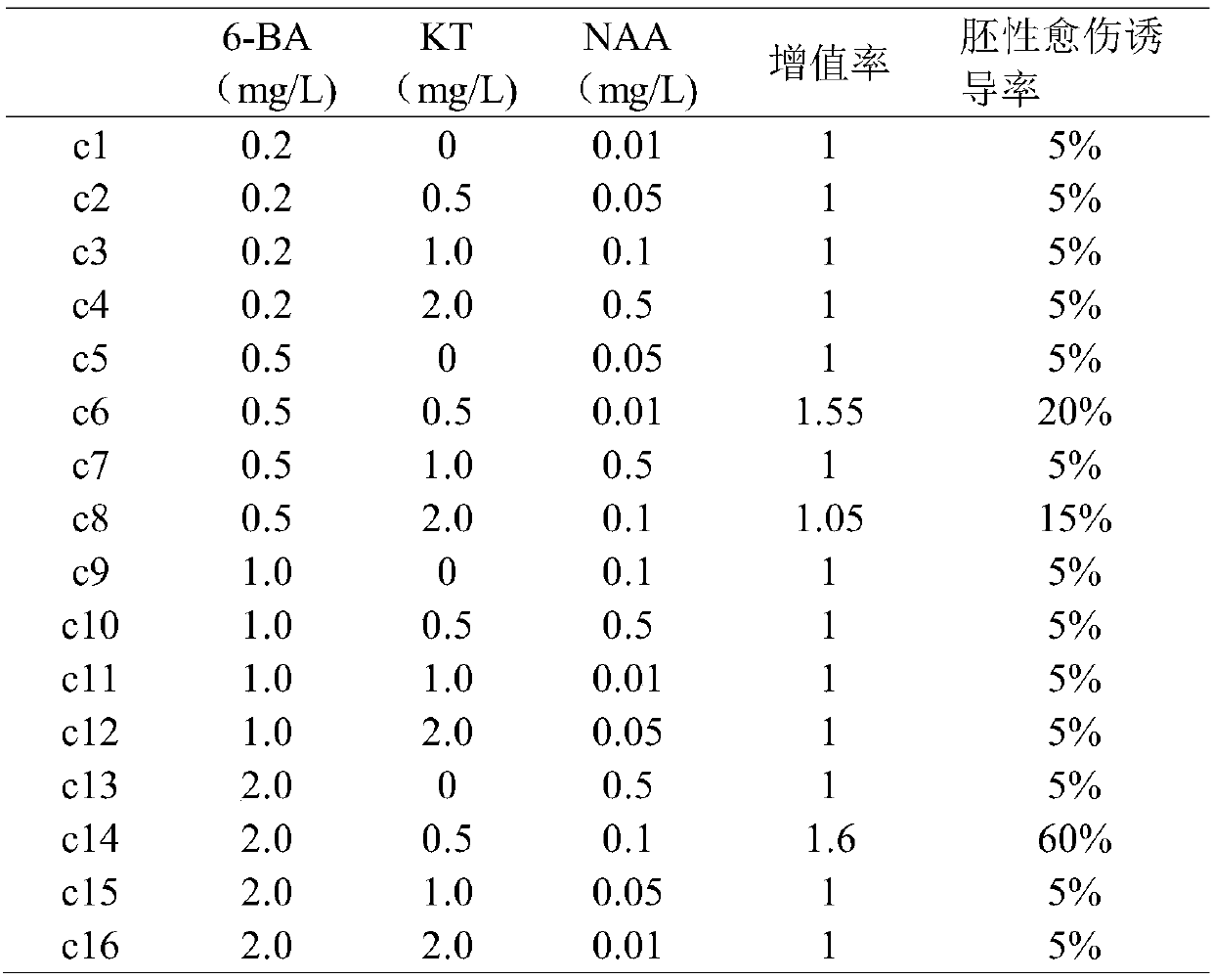 Method for inducing callus of clematis 'Yongshiwu'