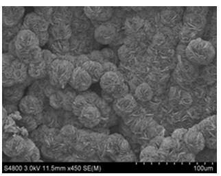 Three-dimensional (3D) multi-stage structure VS2 hydrogen evolution electrocatalyst and preparation method thereof