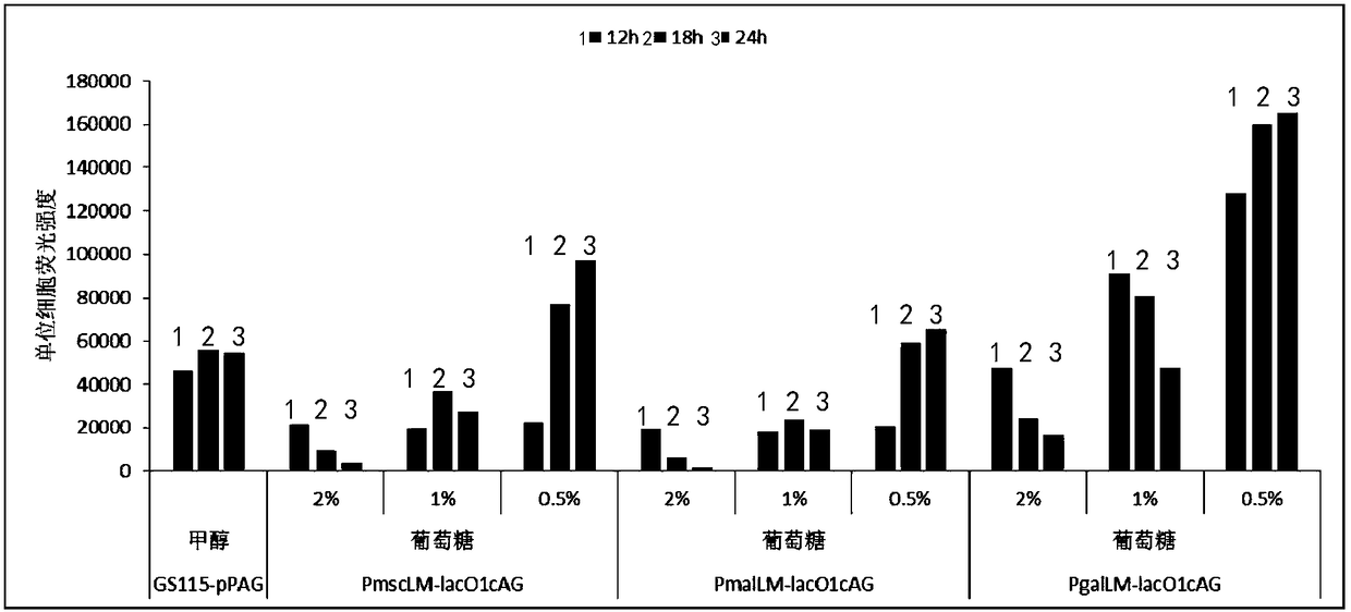 Pichia yeast expression system without carbon source repression, and establishing method and applications