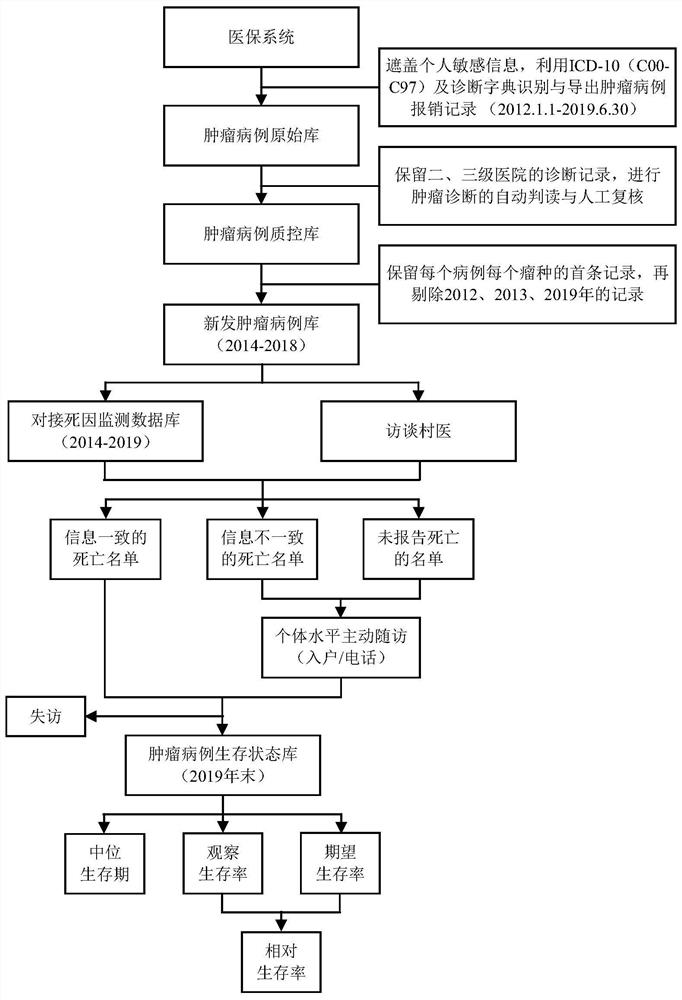 Tumor patient survival monitoring method and device based on medical insurance and dead cause monitoring data