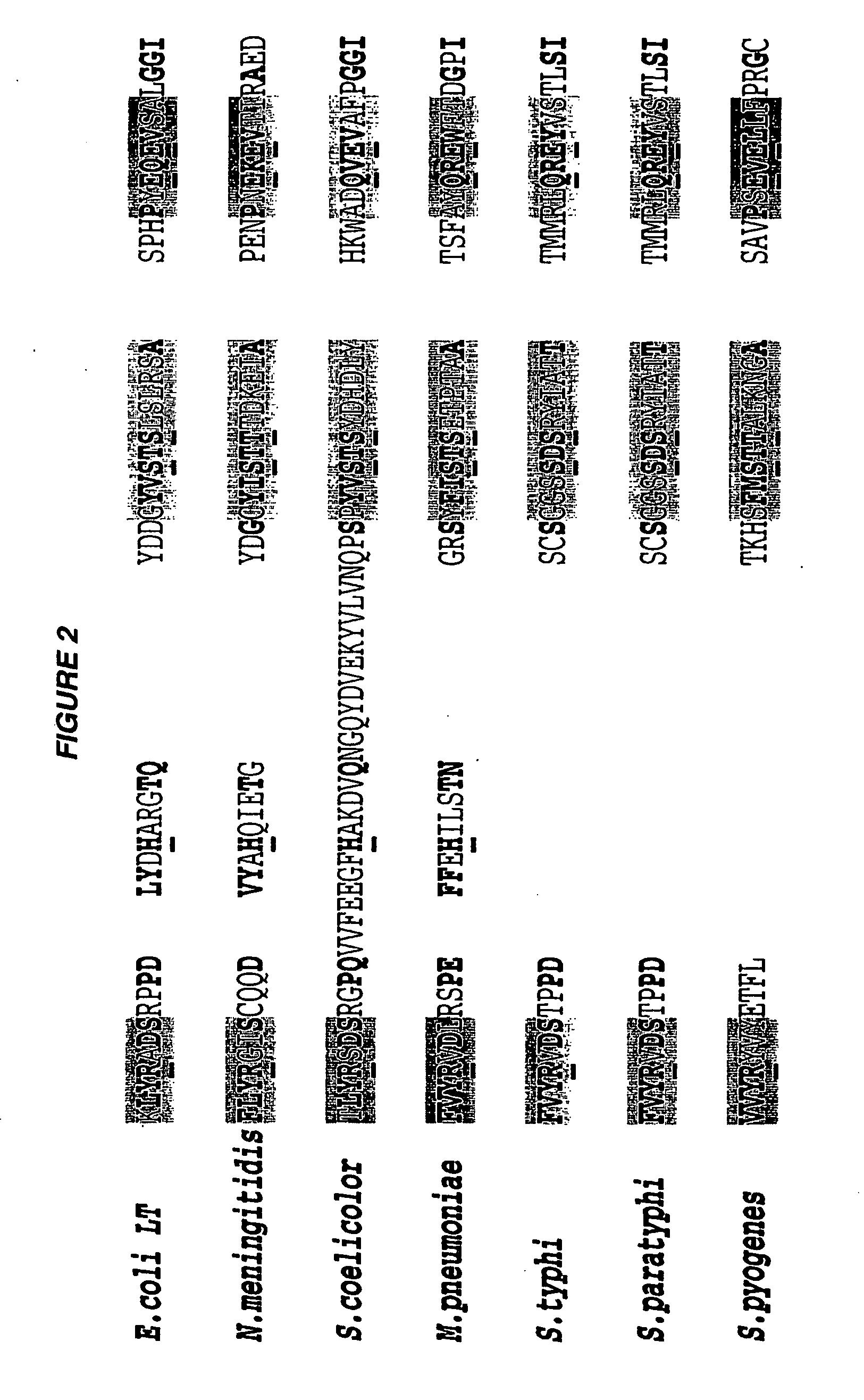 Adp-ribosylating bacterial toxins