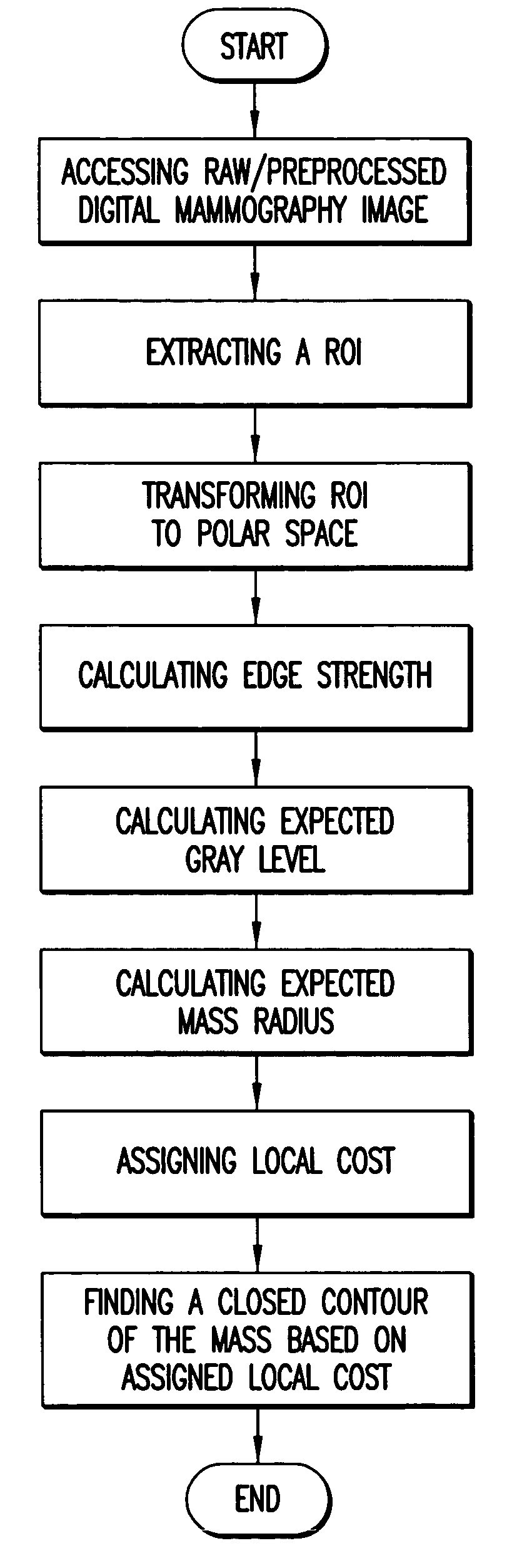 Mass segmentation using mirror image of region of interest