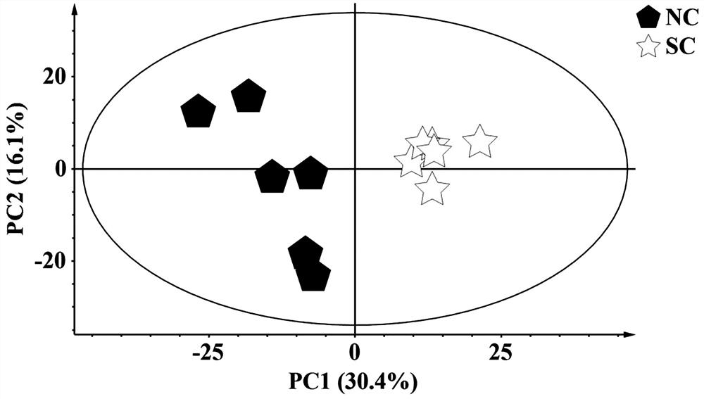 Construction and application of elderly constipated animal model