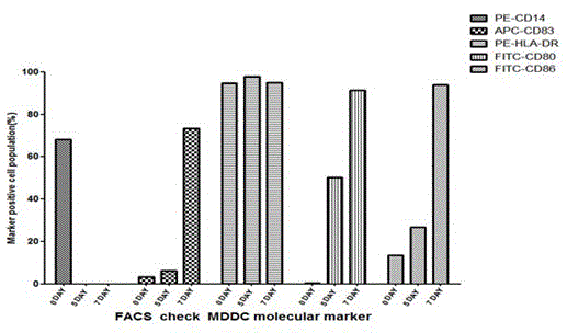 Preparation method of antigen-specific cytotoxicity T lymphocytes