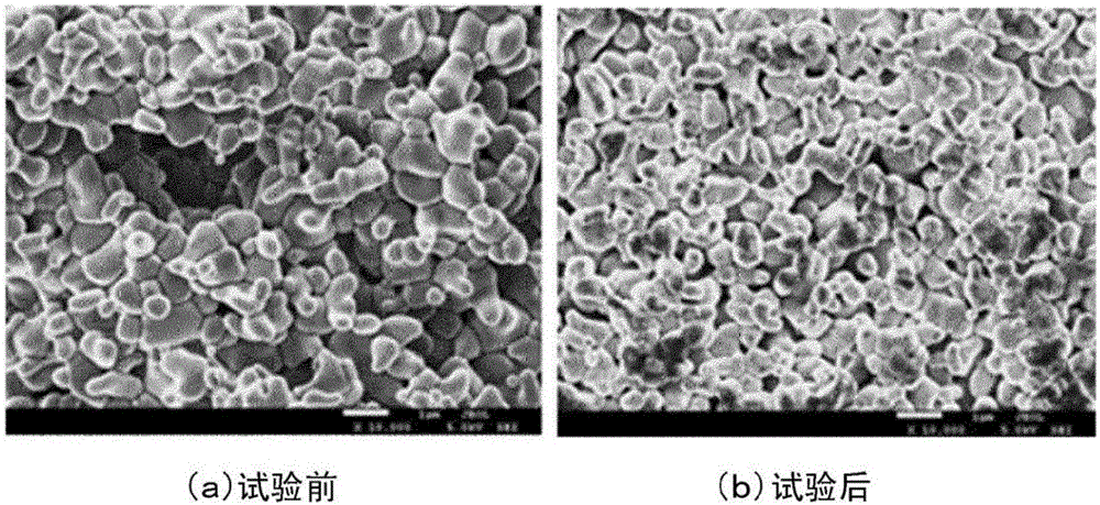 Positive electrode for alkaline water electrolysis