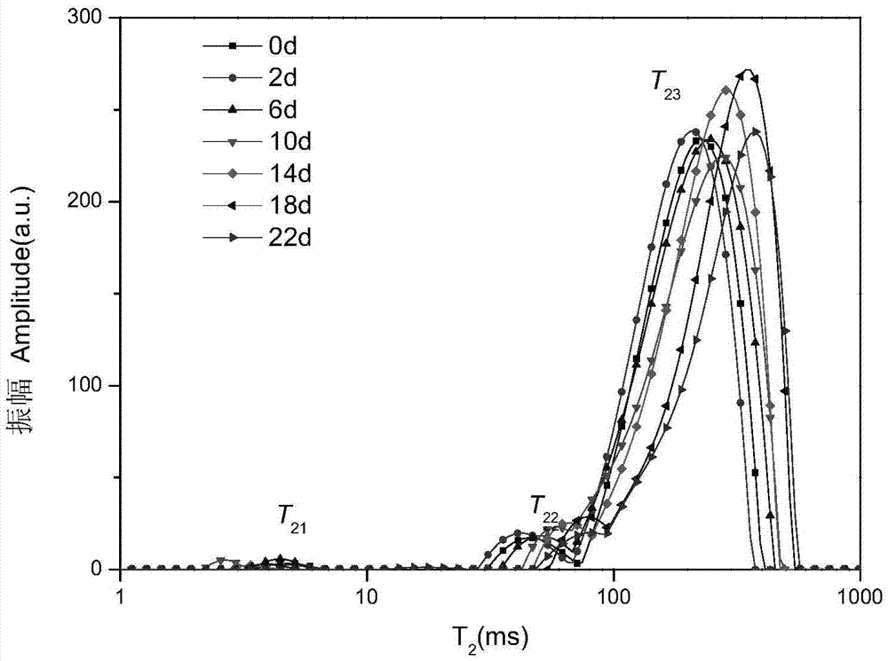 Method for detecting texture quality by low field nuclear magnetic resonance in sea cucumber salting process