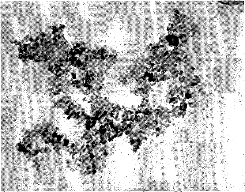 Homodisperse ferrite magnetic manoparticles and preparation method thereof