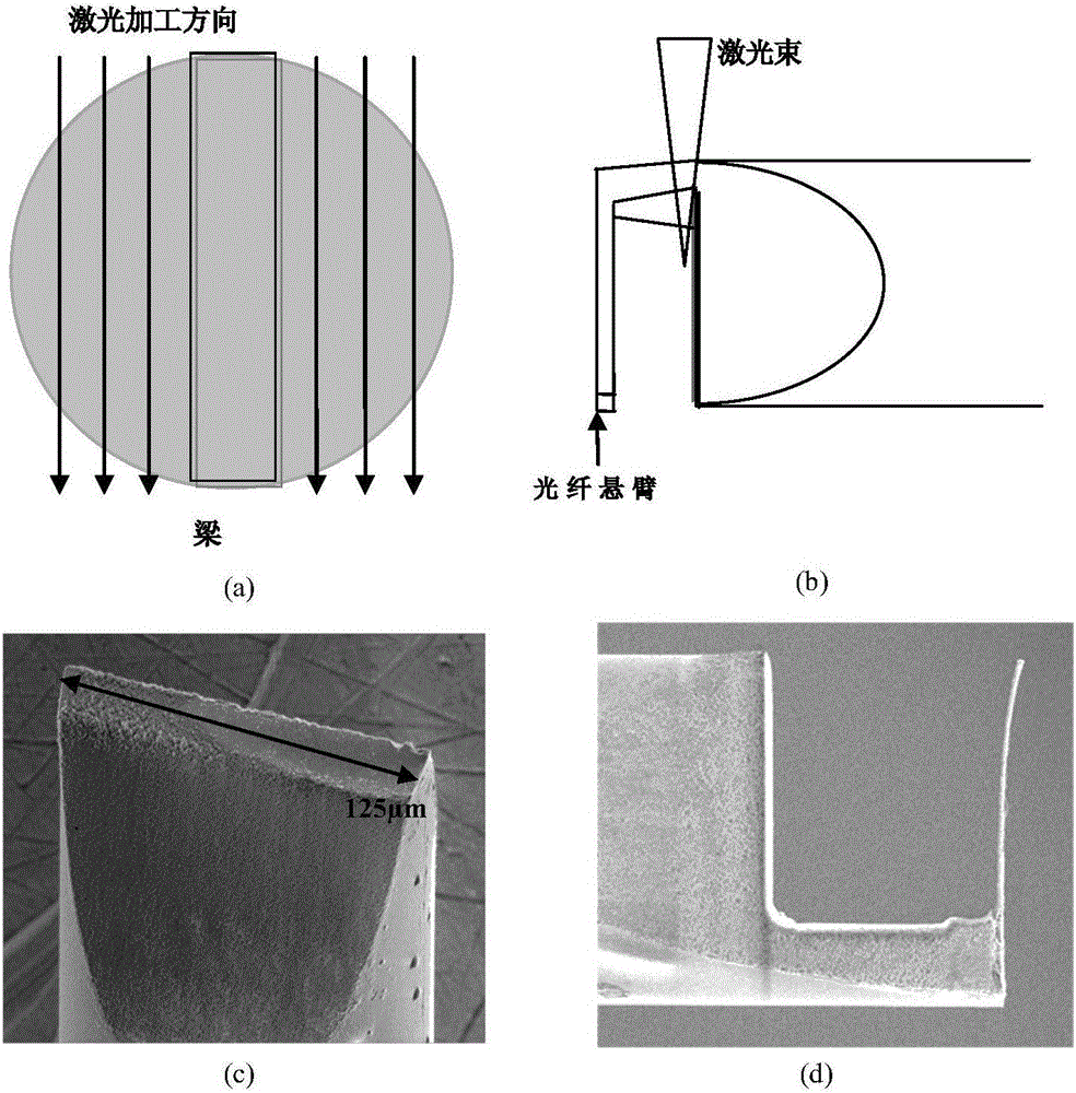 Optical fiber cantilever beam sensor and detection method for food pathogenic bacteria