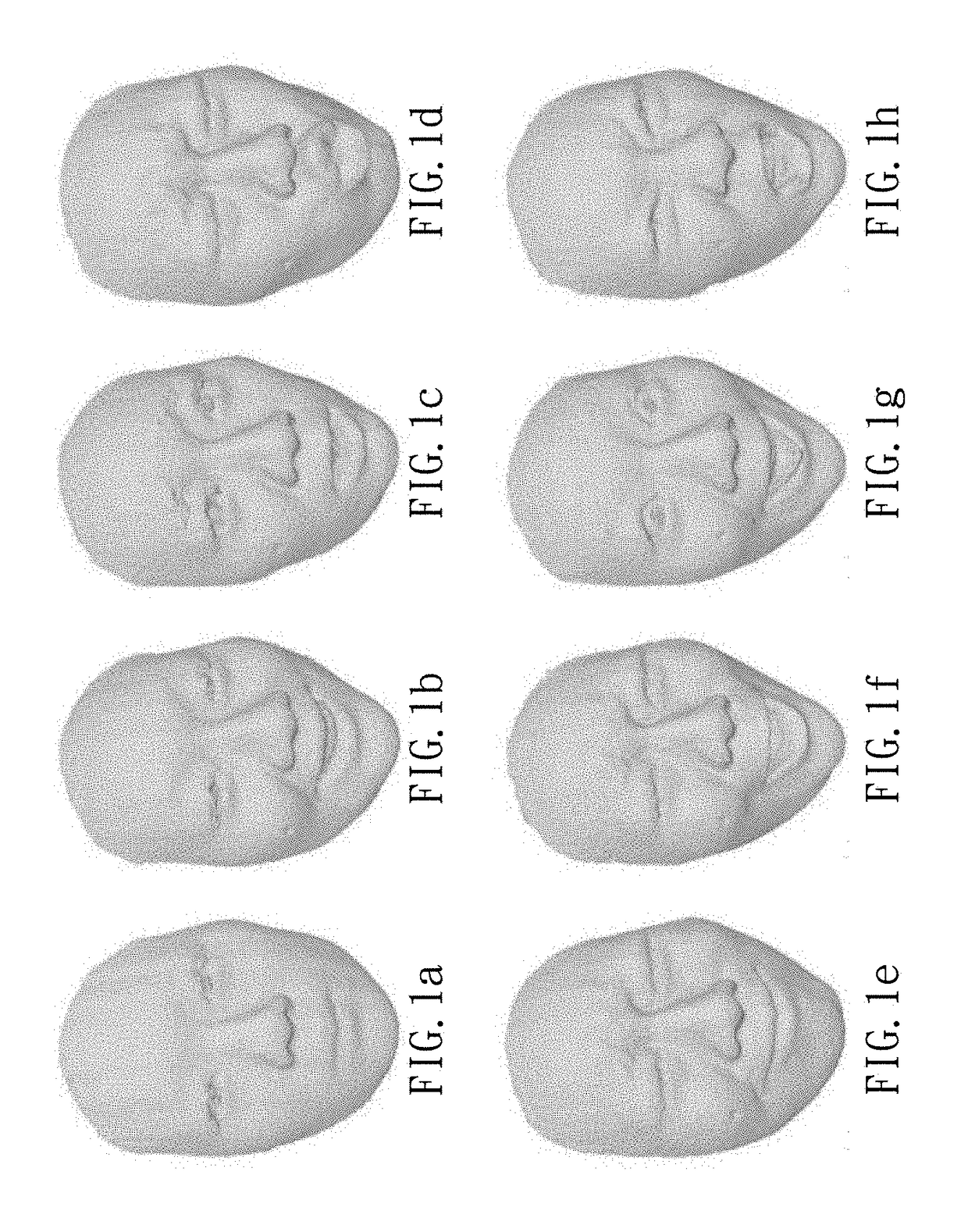 Method for computing spherical conformal and riemann mapping