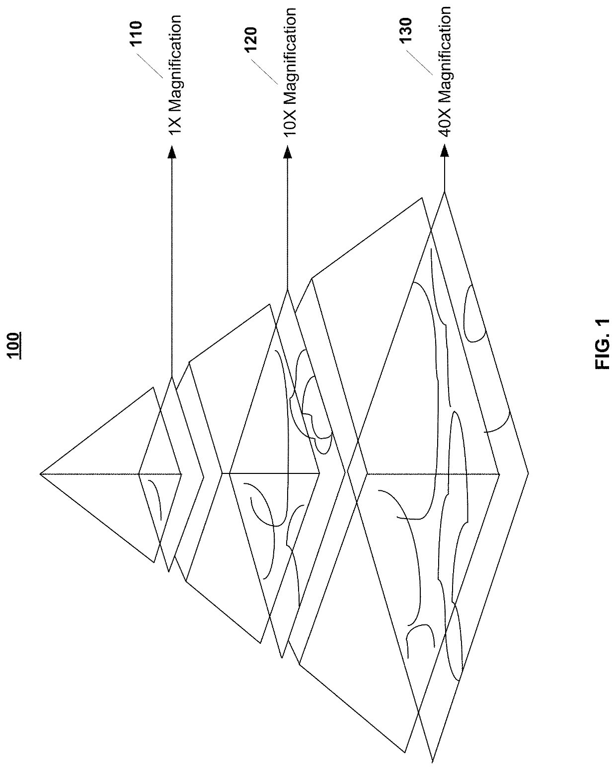 System and method for automatic assessment of cancer