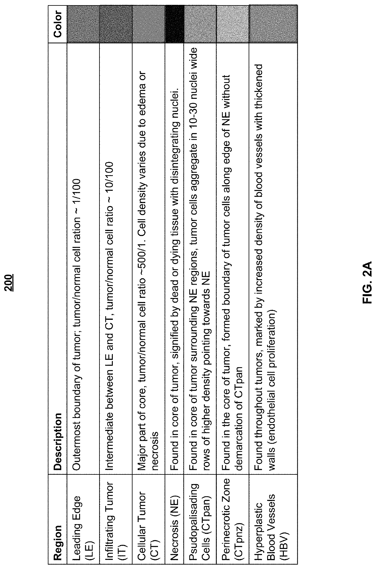 System and method for automatic assessment of cancer