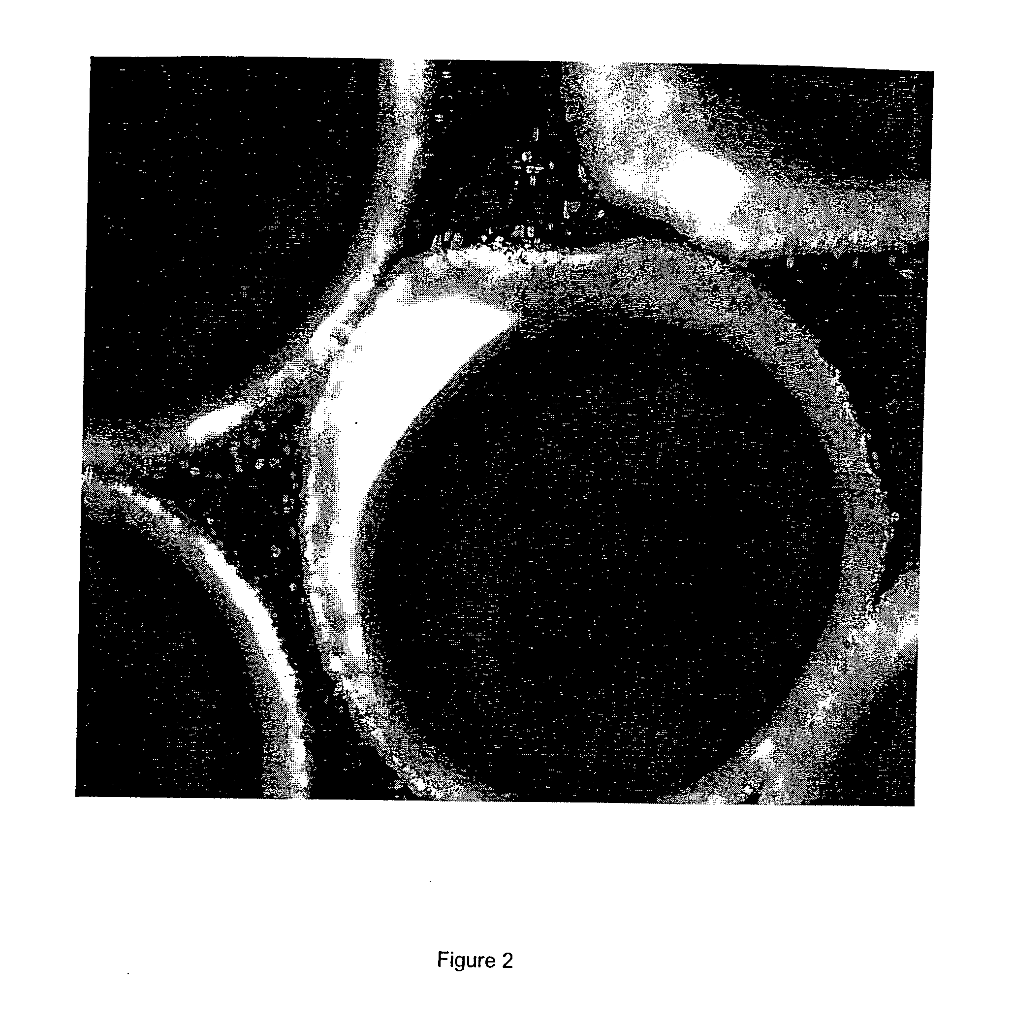 Encapsulation Of Lipid-Based Formulations In Enteric Polymers