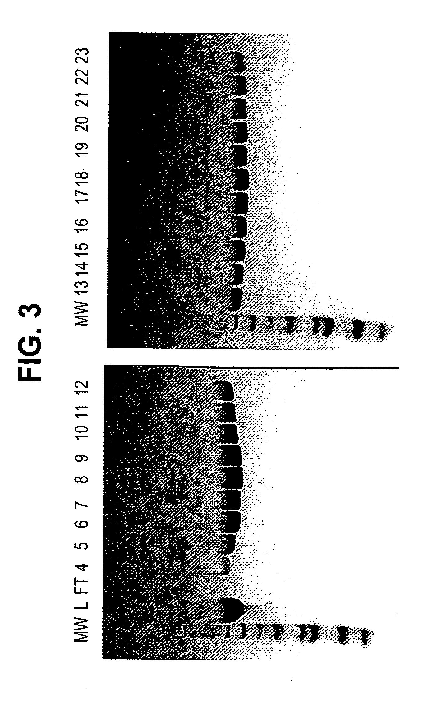 PYY Agonists and Uses Thereof