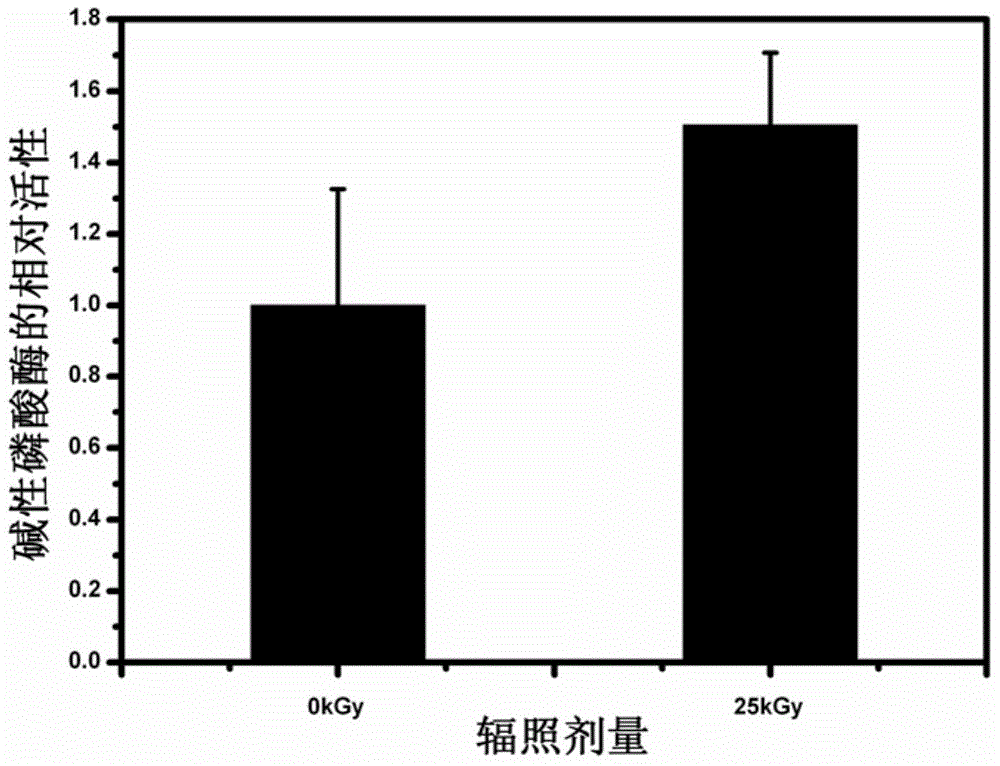 Method for maintaining activity of bone morphogenetic protein-2 under irradiation sterilization condition