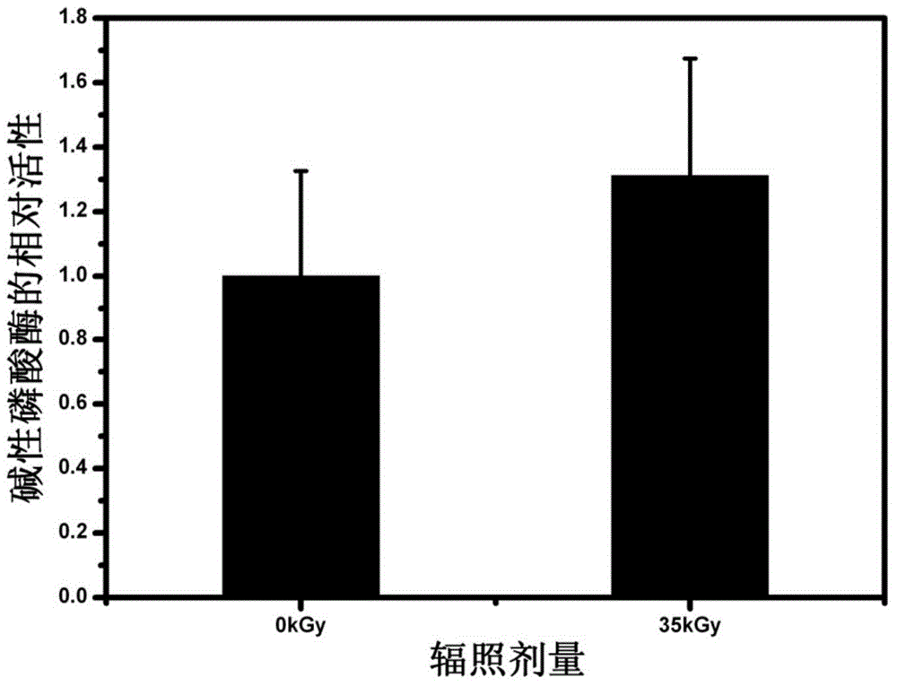 Method for maintaining activity of bone morphogenetic protein-2 under irradiation sterilization condition