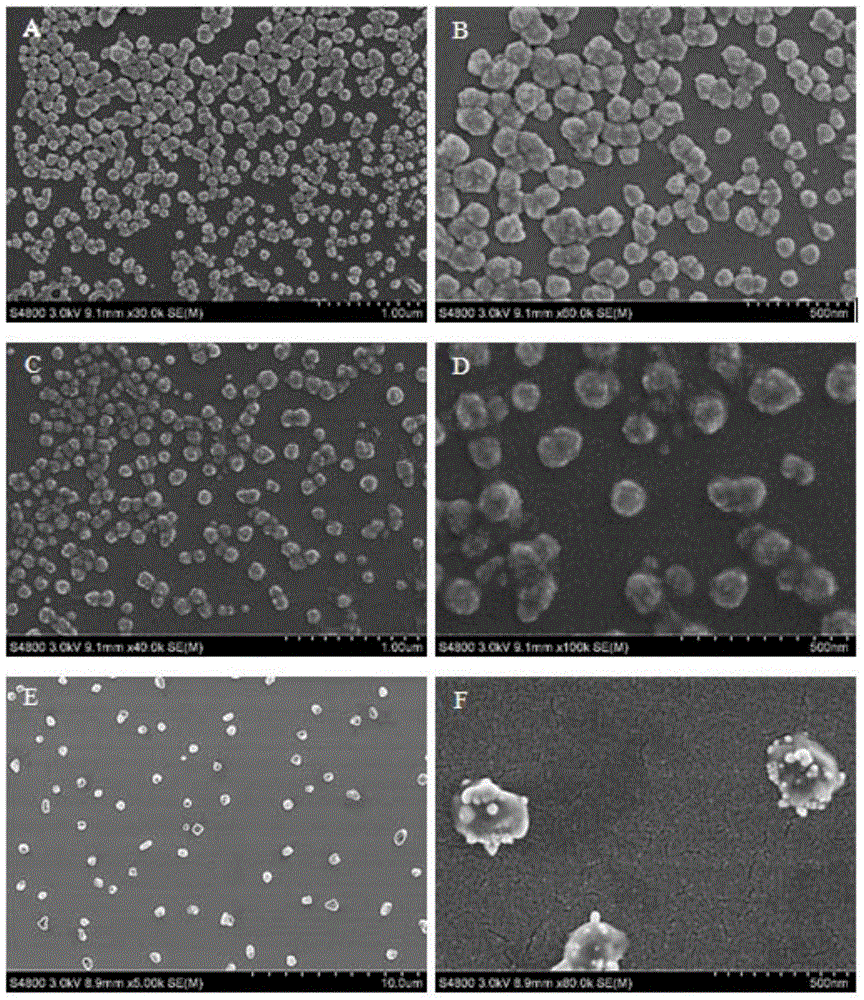 Lipid-modified spermine derivative and liposome prepared by using the derivative