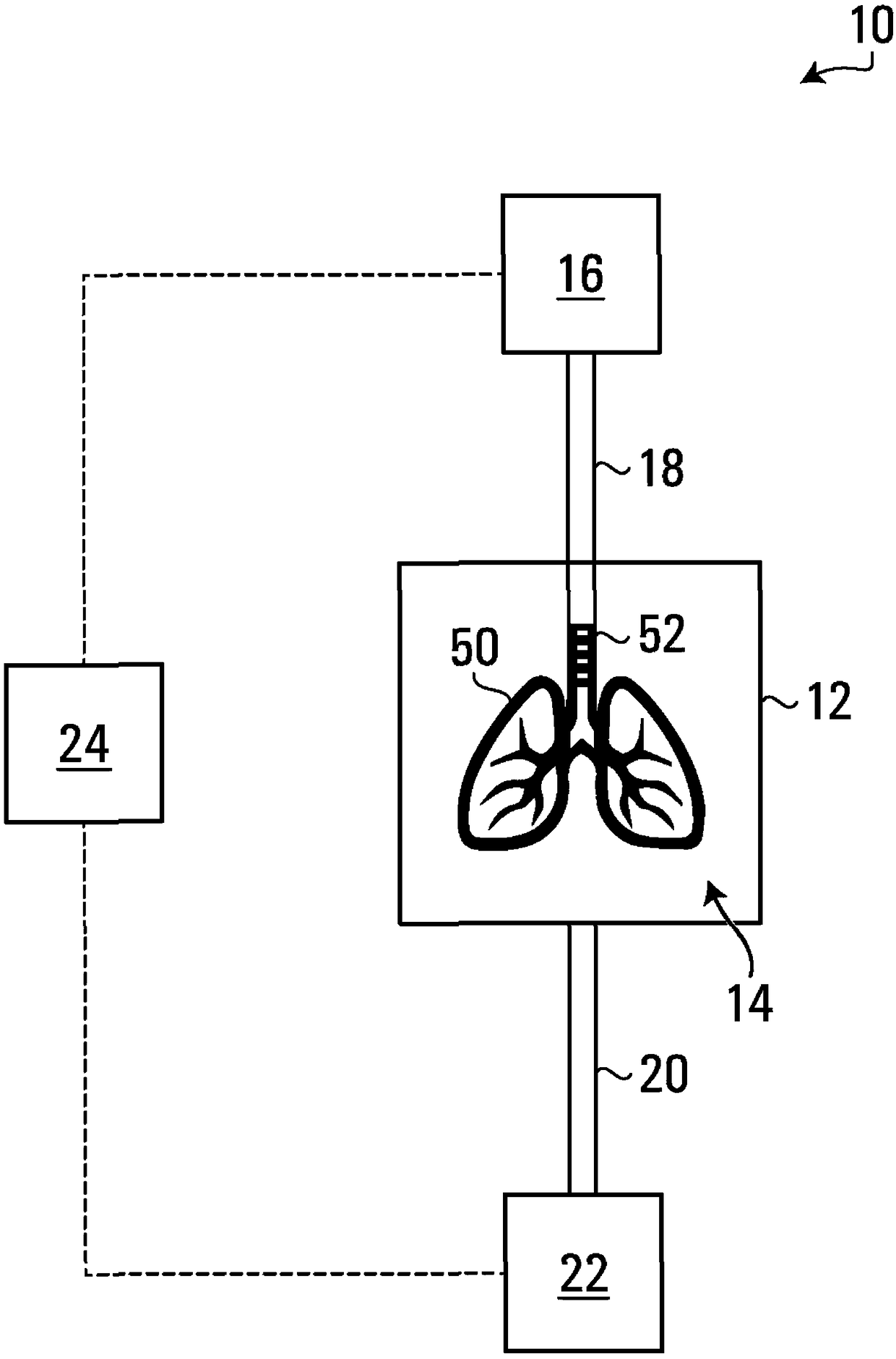 Apparatus and method for ex vivo lung ventilation with a varying exterior pressure