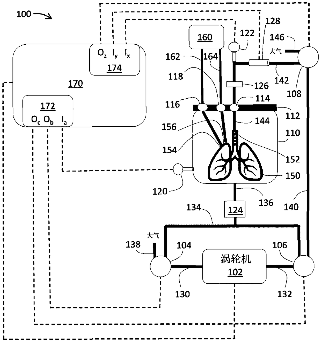 Apparatus and method for ex vivo lung ventilation with a varying exterior pressure