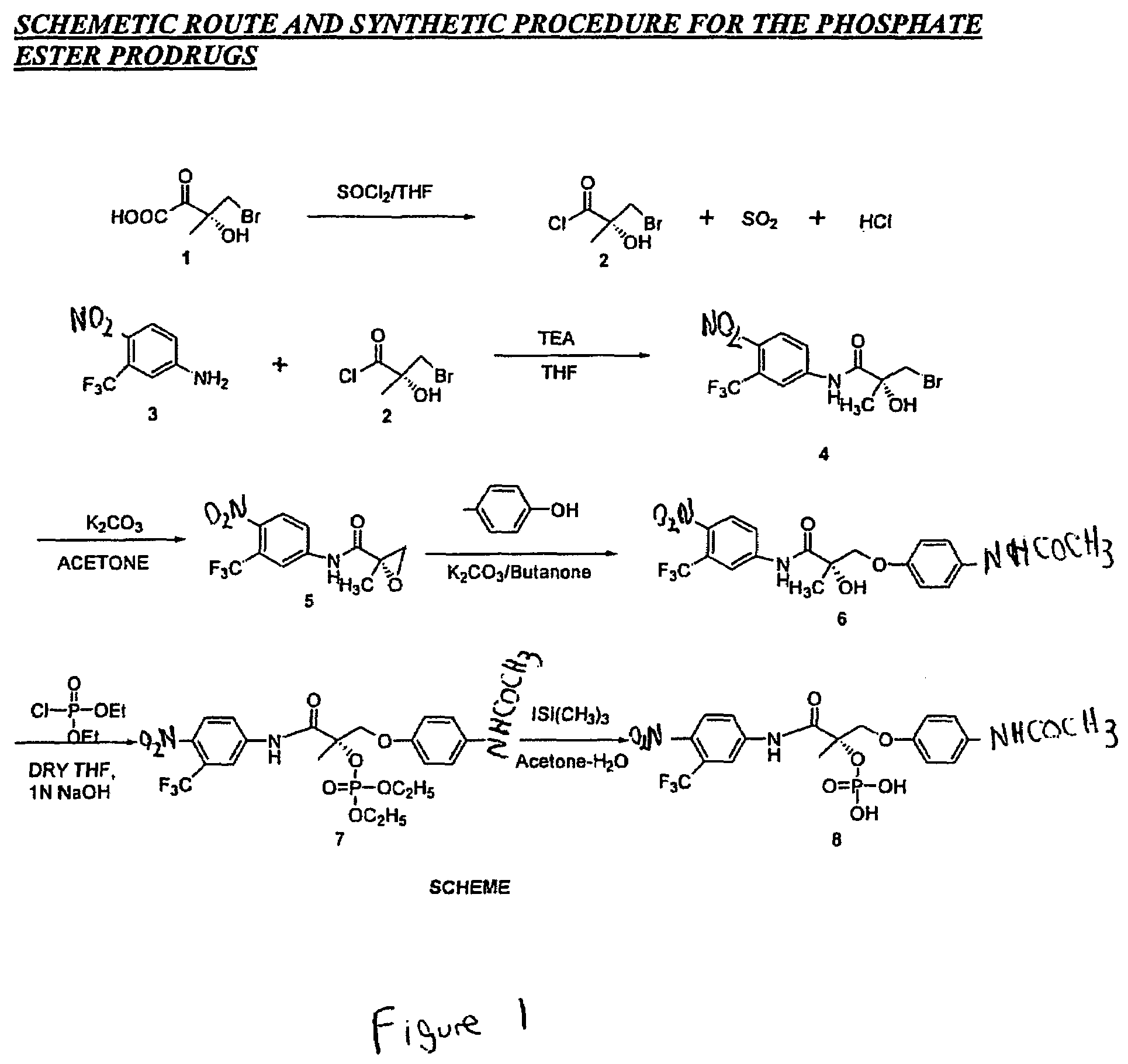 Prodrugs of selective androgen receptor modulators and methods of use thereof