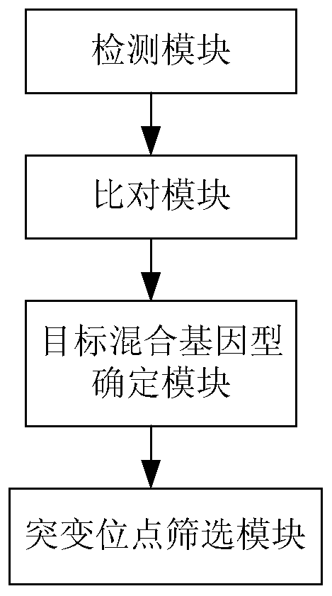 Device for detecting gene mutation and kit for genotyping pregnant women and fetuses