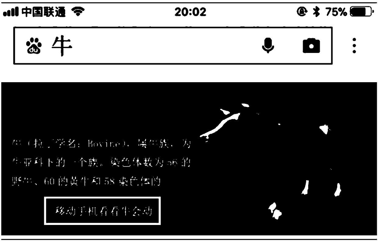 Picture dynamic search method and device, equipment, server and storage medium