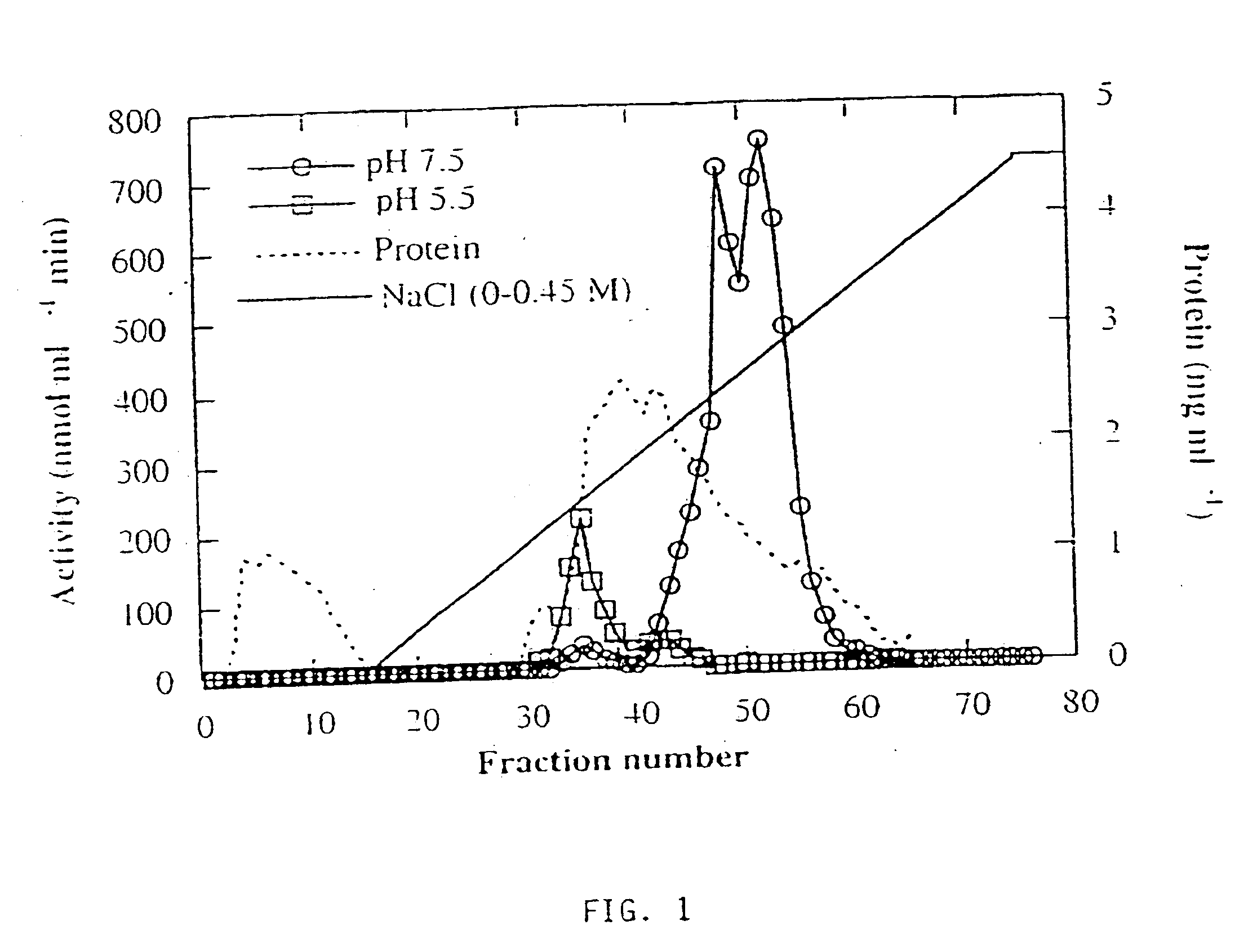 Plant-derived alkaline alpha-galactosidase