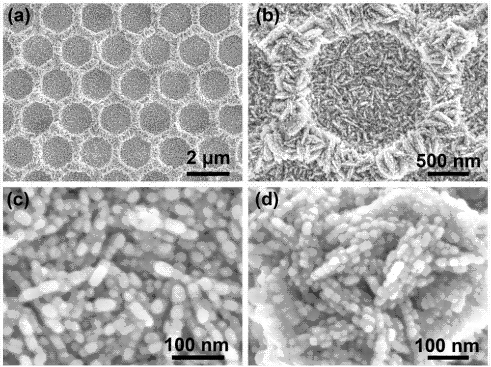 Silver nanoparticles-assembled monolayer inverse opal structure, and preparation method and use thereof