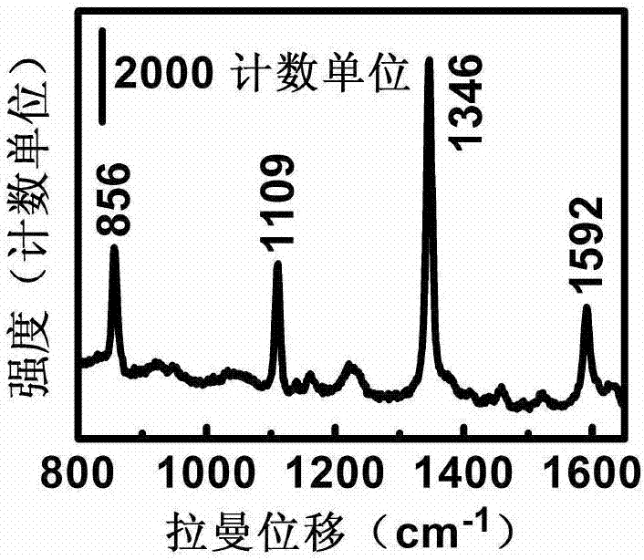 Silver nanoparticles-assembled monolayer inverse opal structure, and preparation method and use thereof