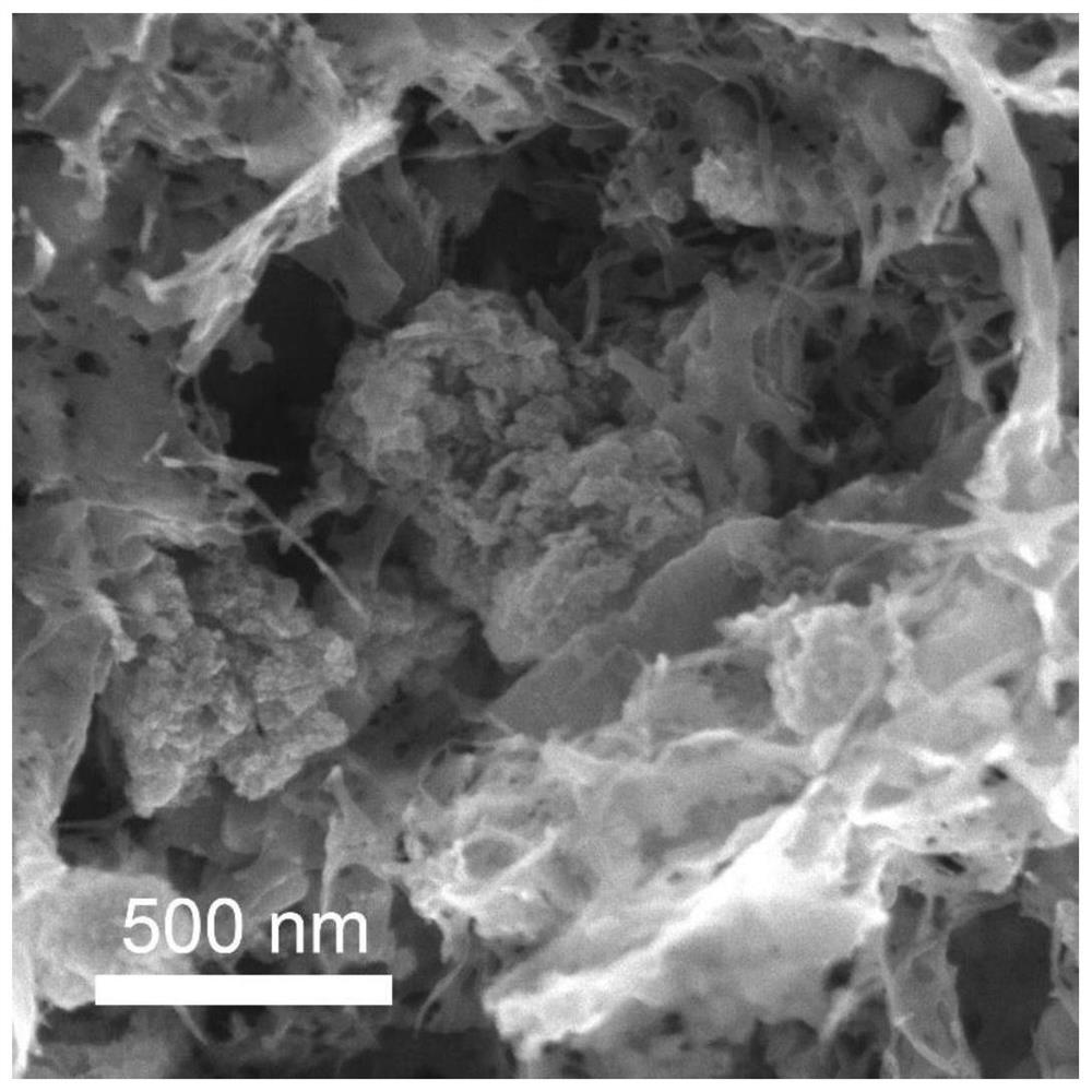 Chlorine-doped titanium dioxide/carbon porous structure and preparation method thereof