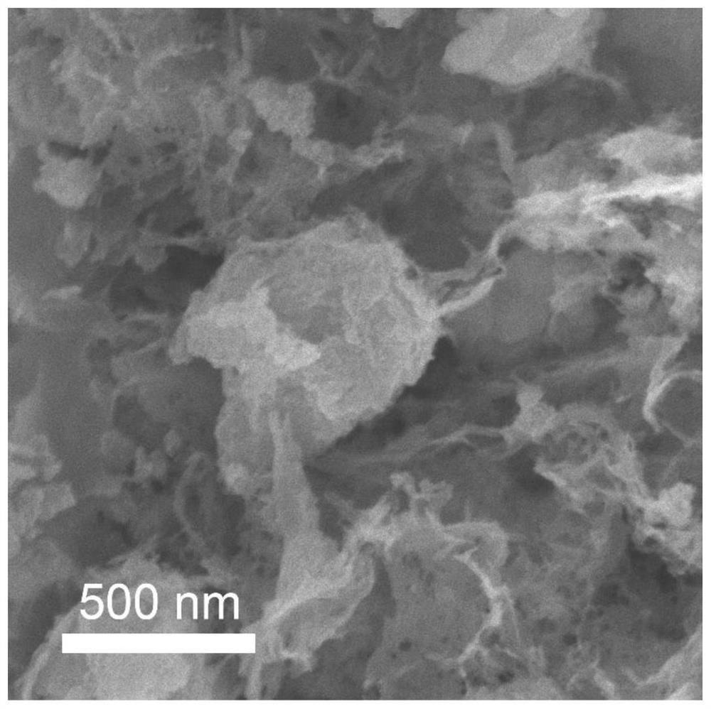 Chlorine-doped titanium dioxide/carbon porous structure and preparation method thereof