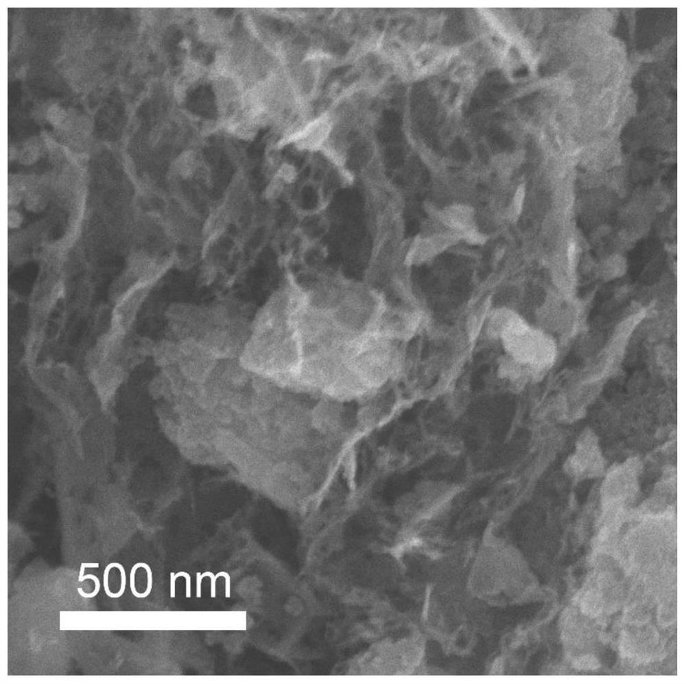 Chlorine-doped titanium dioxide/carbon porous structure and preparation method thereof