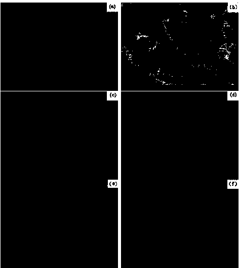 Preparation method for porous copper-based shape memory alloy-based damping composite material