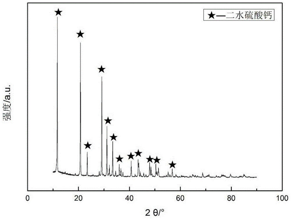 Injectable bone cement and preparation method thereof