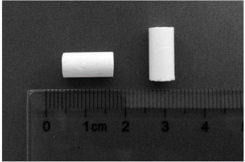 Injectable bone cement and preparation method thereof