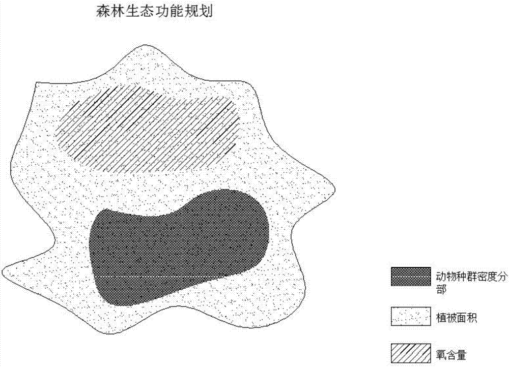 Forest ecological function zoning method through remote sensing technology