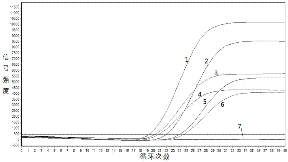 Primer, kit as well as PCR method for detecting of D816V mutation site of C-KIT gene