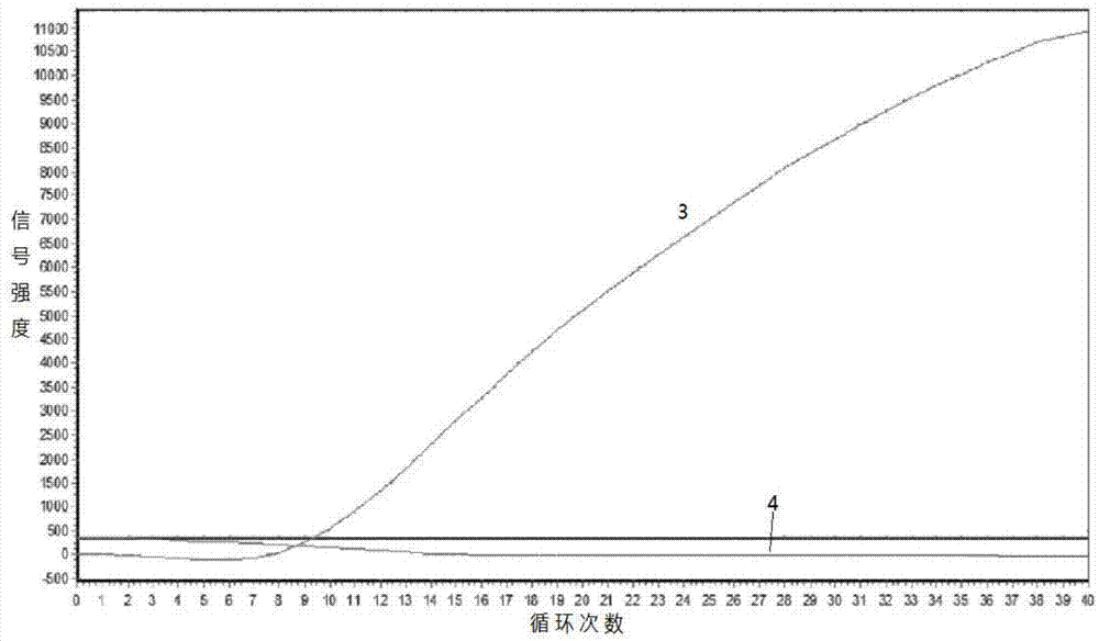 Primer, kit as well as PCR method for detecting of D816V mutation site of C-KIT gene