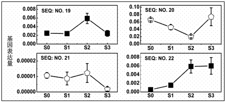 MYB transcription factor implicated in anthocyanin biosynthesis regulation