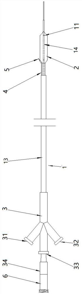 Expansion injection system for preventing and treating arterial stenosis