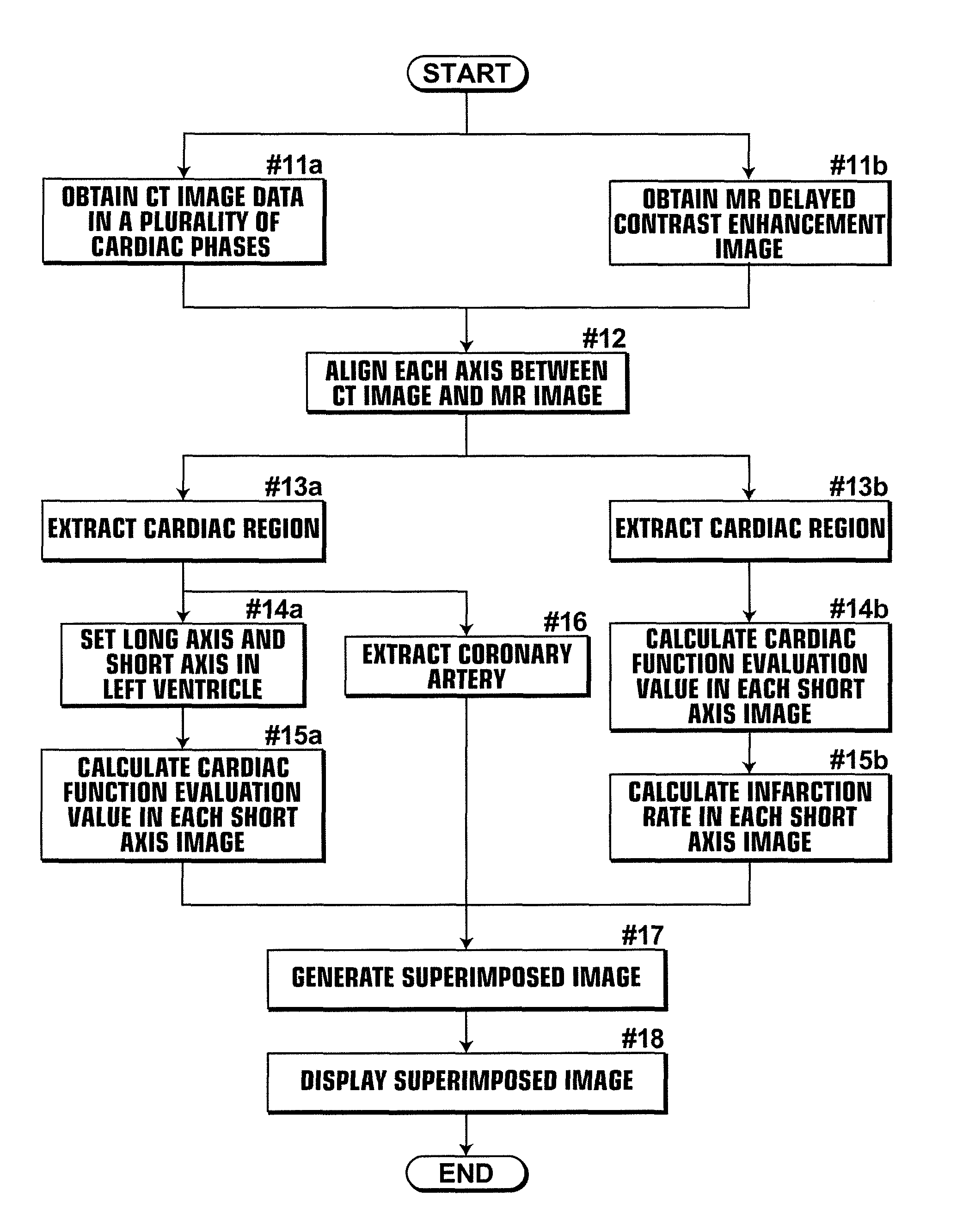 Medical image diagnosis assisting apparatus, method, and program