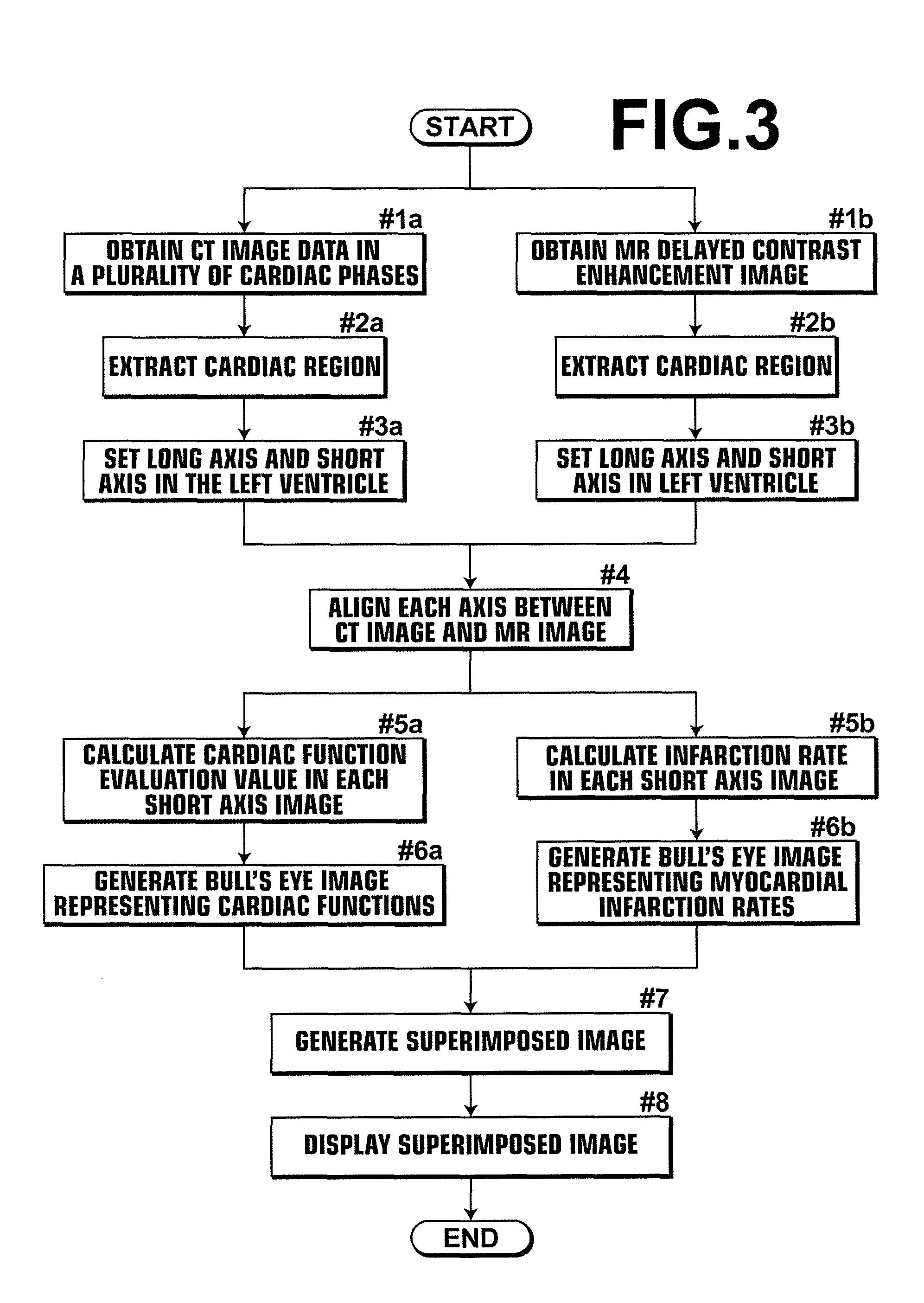 Medical image diagnosis assisting apparatus, method, and program