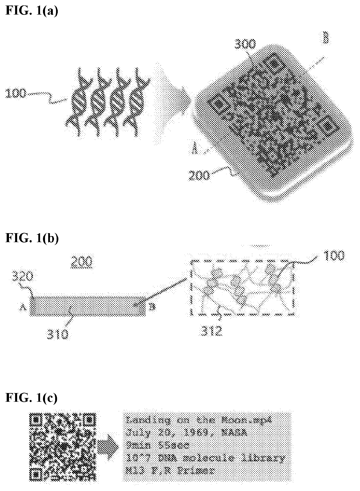 Biochemical carriers capable of storage, preservation and indexing and method for fabricating the same