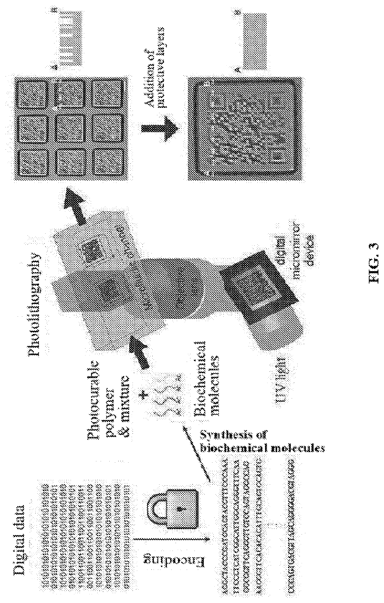 Biochemical carriers capable of storage, preservation and indexing and method for fabricating the same