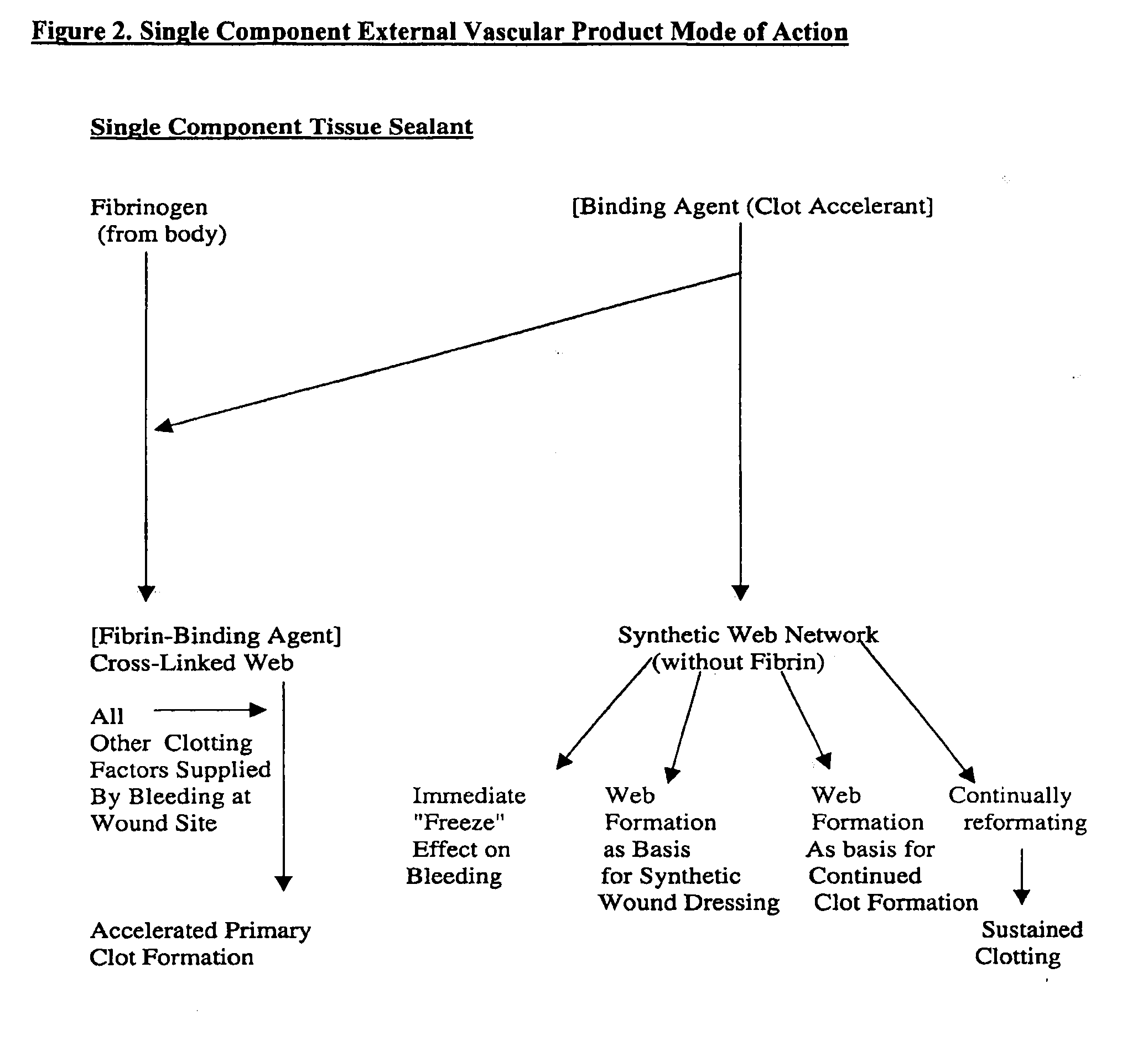 Compositions and methods for treating excessive bleeding