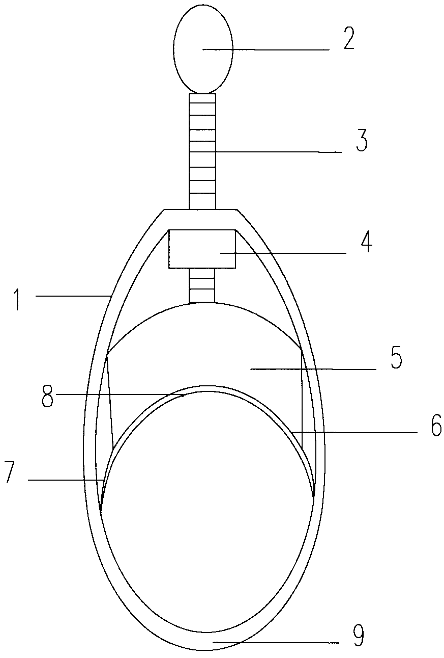 Novel hose clamp